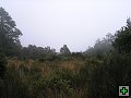 thn_NZ leden-unor 2006 285.jpg